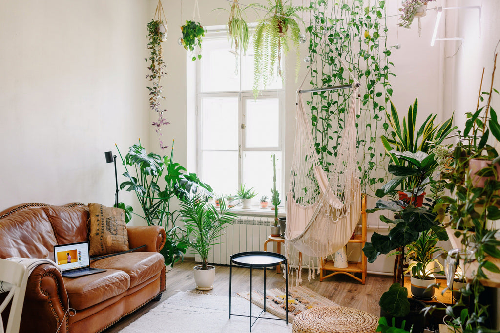 8 Benefits of Using a WiFi Hidden Camera
