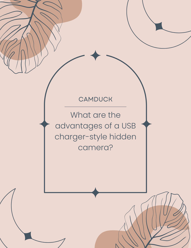 What are the advantages of USB charger hidden cameras?