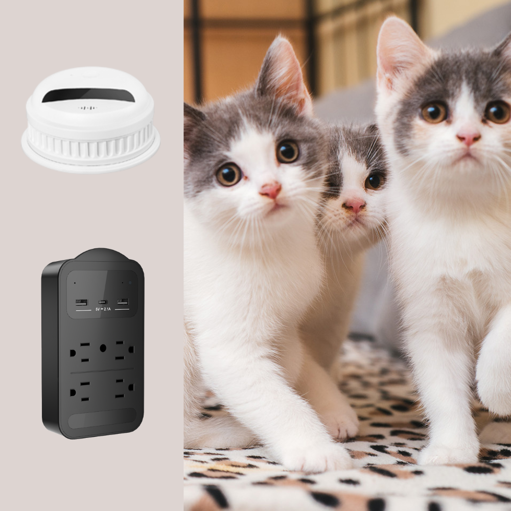 The Ultimate Guide to Choosing the Best Hidden Camera for Your Needs