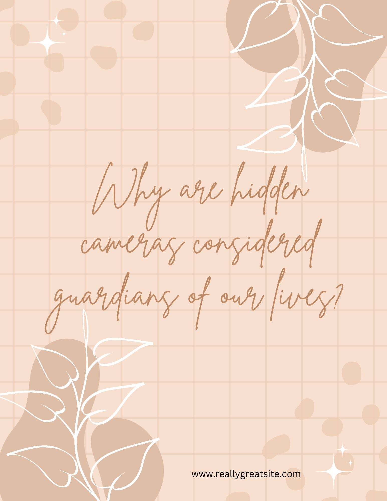 Why are hidden cameras considered guardians of our lives?