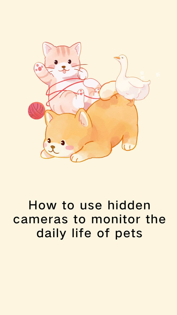 How to use hidden cameras to monitor the daily life of pets?