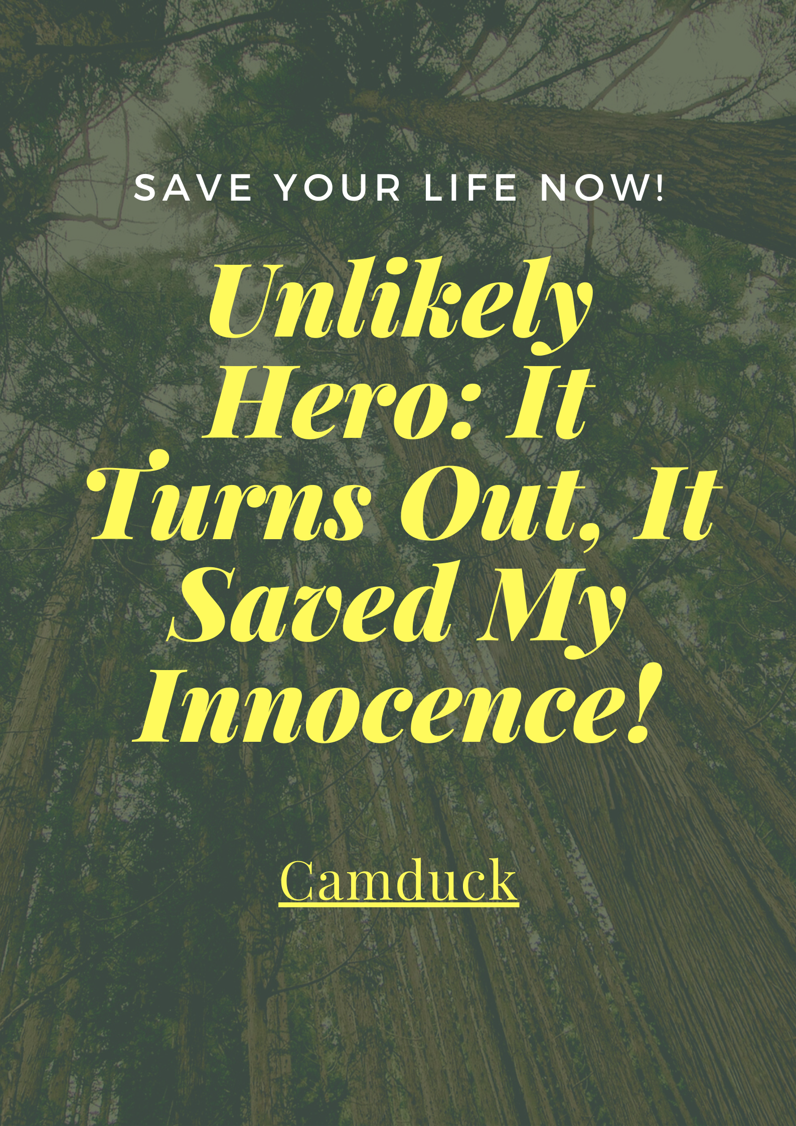 Legal Regulations and Consequences of Unauthorized Spy Cameras in Different Regions