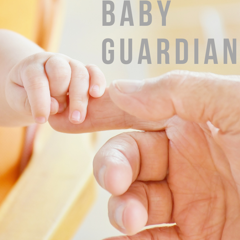 From Baby Care to Pet Monitoring: Hidden Cameras for Special Needs