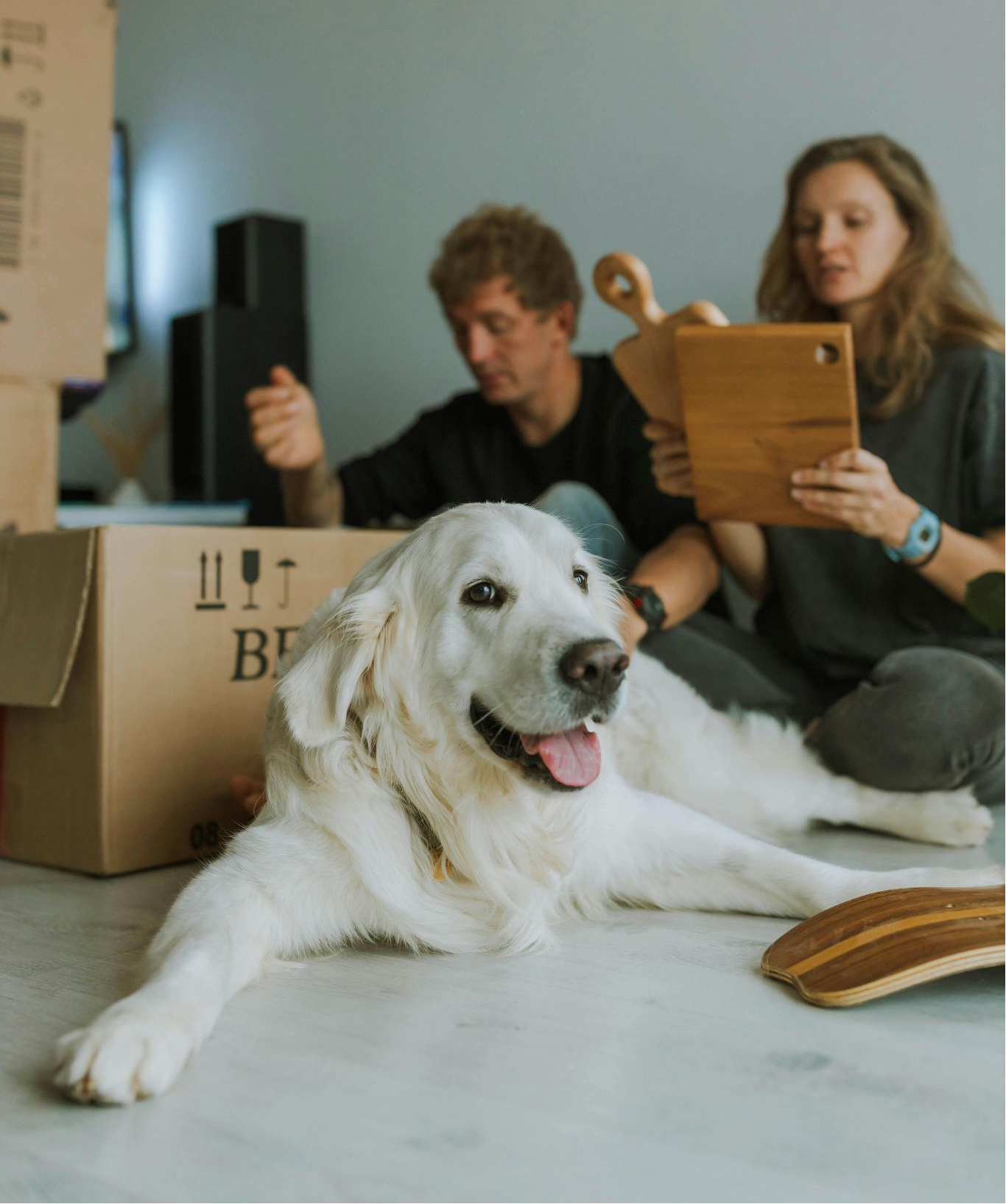 Home Away From Home: Helping Your Pet Adjust to a New City After a Move