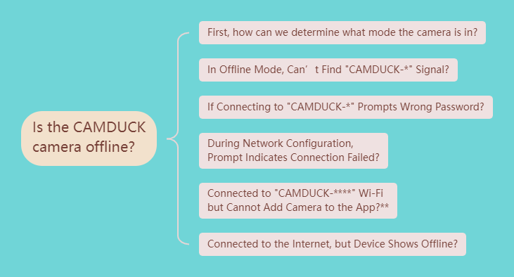 CAMDUCK Hidden Spy Camera not online?