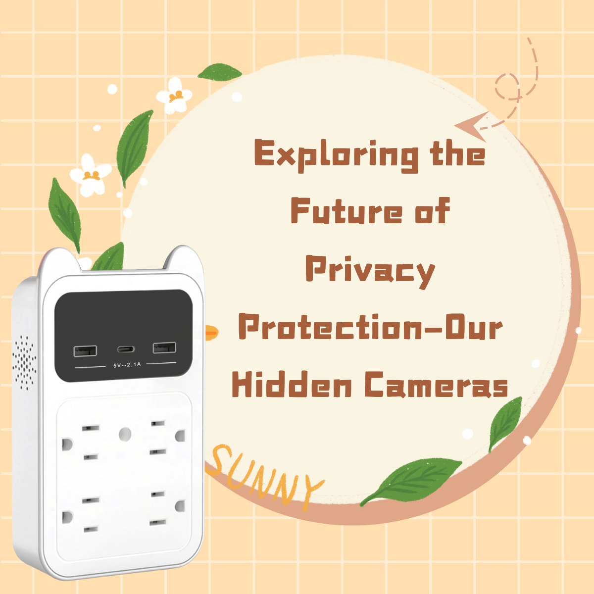 Exploring the Future of Privacy Protection—Our Hidden Cameras