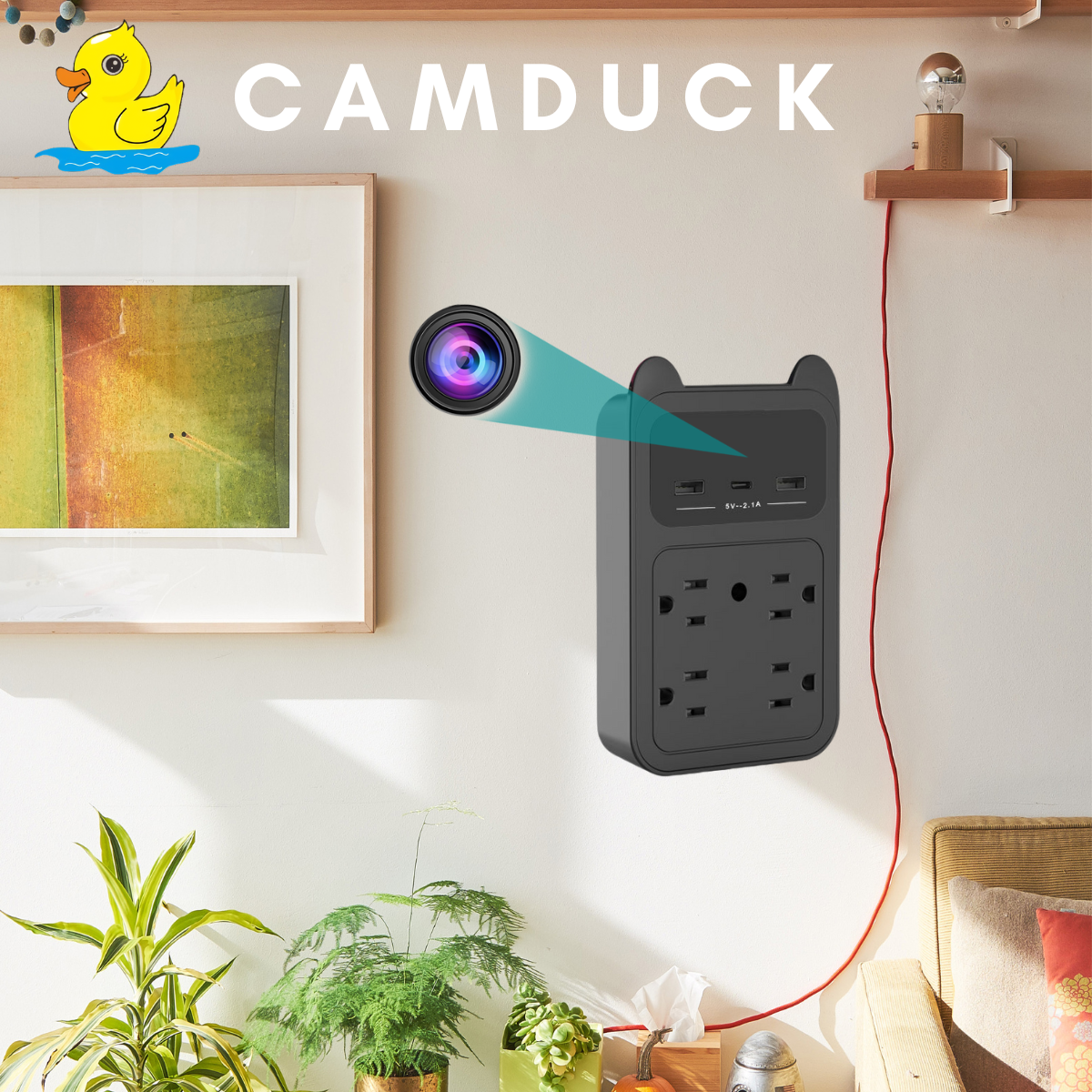 Unveiling the CAMDUCK Hidden Camera: Small in Size, Big on Risk?