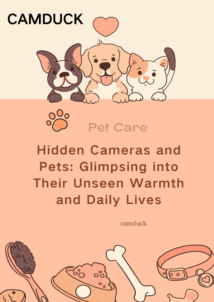 Hidden Cameras and Pets: Glimpsing into Their Unseen Warmth and Daily Lives