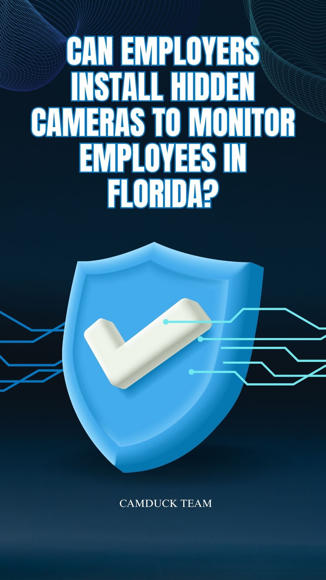 Can Employers Install Hidden Cameras to Monitor Employees in Florida?