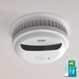 CAMDUCK 007 4MP HD 𝟥𝟨𝟢°𝗁𝗈𝗋𝗂𝗓𝗈𝗇𝗍𝖺𝗅 𝗋𝗈𝗍𝖺𝗍𝗂𝗈𝗇 Smoke Detector Spy Camera Hidden Cameras For Home Monitor Suitable for ceilings